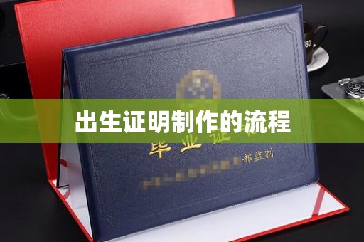 五通桥出生证明制作的流程