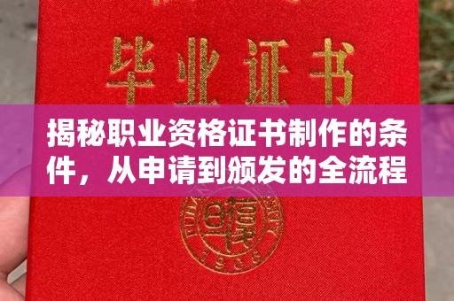 五通桥揭秘职业资格证书制作的条件，从申请到颁发的全流程解析