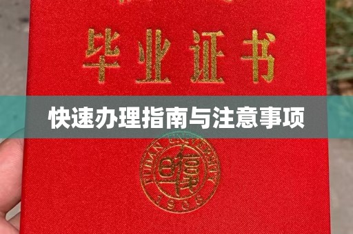 五通桥快速办理指南与注意事项